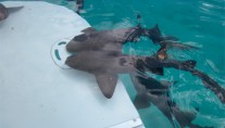 SIOUX EMPRESS -  Submersible Swim Platform